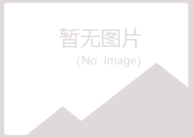 集安字迹化学有限公司